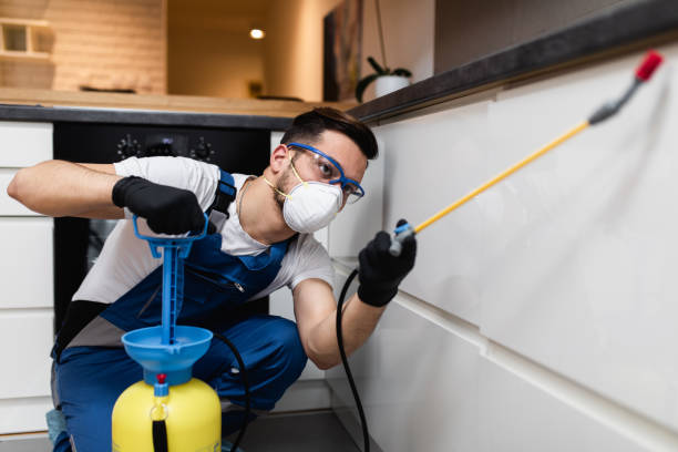 Best Pest Inspection Near Me  in Whitesboro, NY