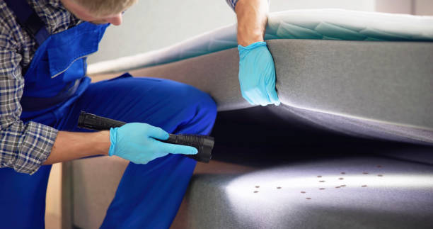 Best Pest Control Treatment  in Whitesboro, NY